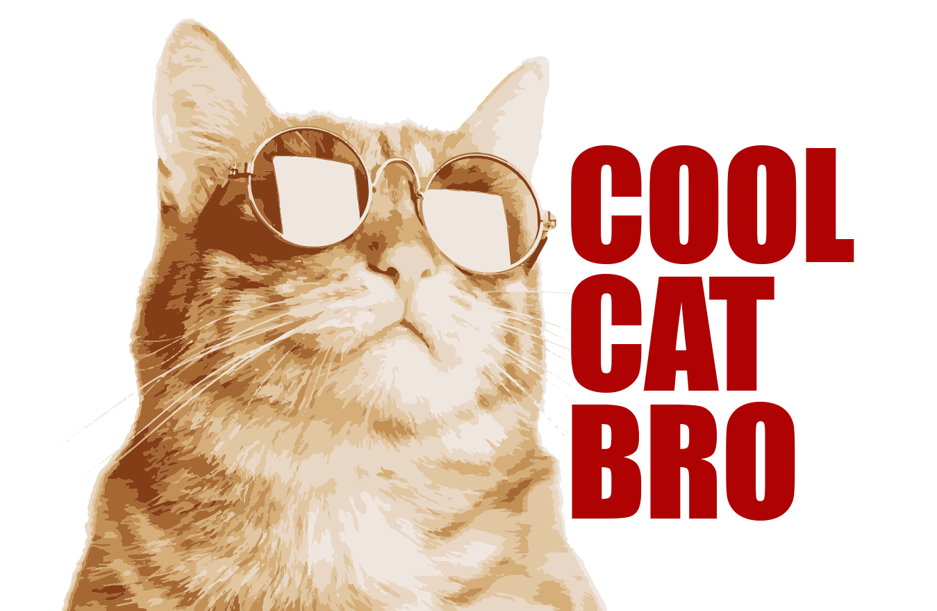 Cool Cat Bro
